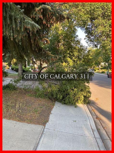 311 calgary online|Your access to The City anytime, anywhere .